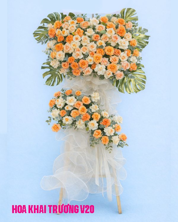 HOA KHAI TRƯƠNG 20